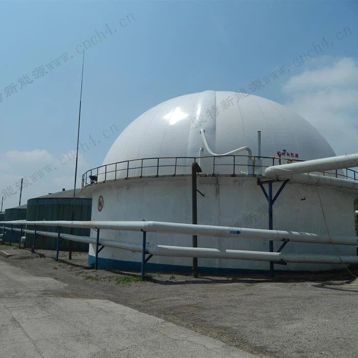 Dual Membrane Gas Domes In PVDF Membrane