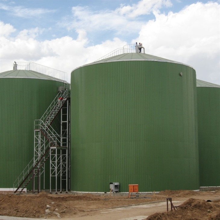 Biogas Digester Septic Tank